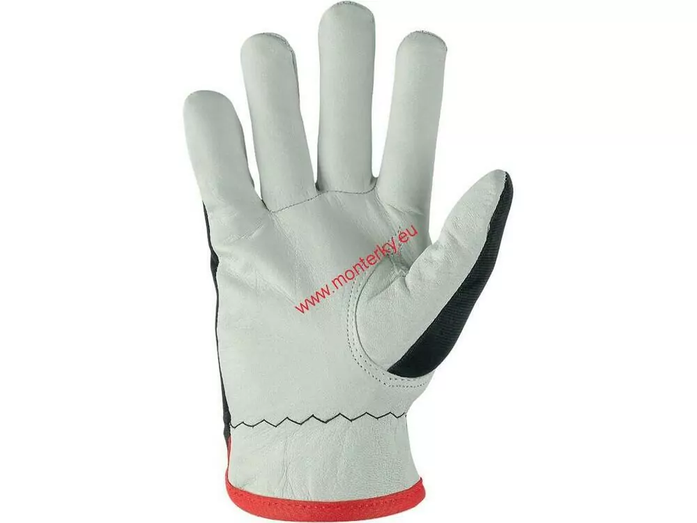Kombinované zimní rukavice TECHNIK WINTER 3700-009-801