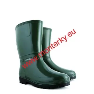 Dámské nízké holinky RAINNY 0050 B zelené 36-41