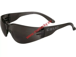 Brýle CXS-OPSIS ALAVO,4110-208-720-00 kouřové